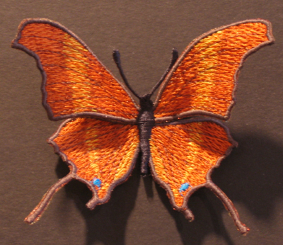 ruddy daggerwing butterfly sew out