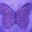 cutwork butterfly embroidery design