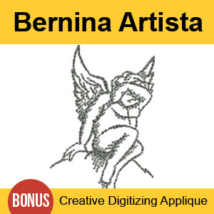 Bernina Digitizing Lesson