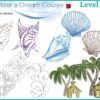 Perla Premium Digitizer’s Dream Course Level 1