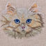 kitten face embroidery design