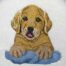 Golden Retriever Puppy embroidery design