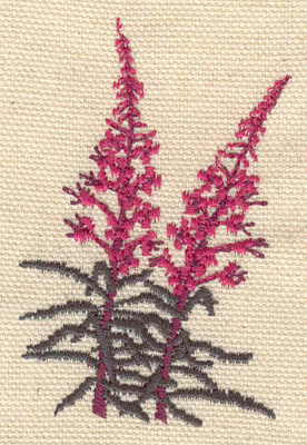 Embroidery Design: Fireweed 1.81w X 2.76h