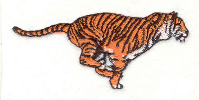 Embroidery Design: Tiger running 2.91"w X 1.27"h
