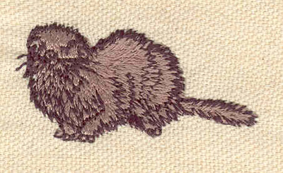 Embroidery Design: Weasel 1.98w X 0.97h
