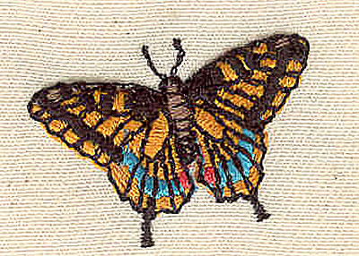 Embroidery Design: Butterfly 1.30w X 1.00h