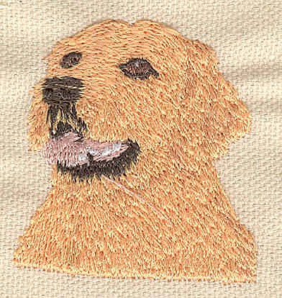 Embroidery Design: Golden Retriever head 1.70w X 1.80h