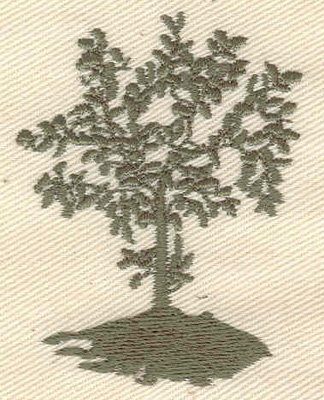 Embroidery Design: Tree 1.66w X 2.18h