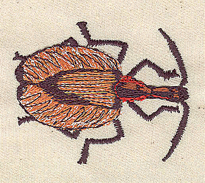 Embroidery Design: Violin Beetle 2.27w X 1.79h