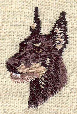 Embroidery Design: Doberman1.09w X 1.77h