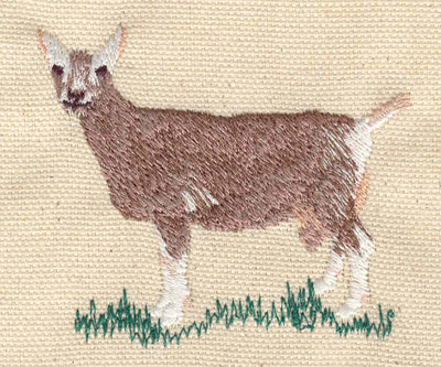 Embroidery Design: Goat 2.60w X 2.33h