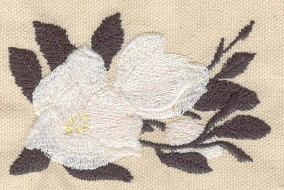 Embroidery Design: Camellia 3.44w X 2.20h