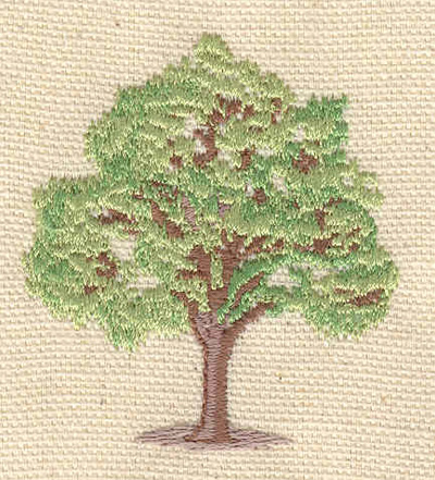 Embroidery Design: Maple Tree  2.11"h x 1.84"w