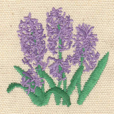 Embroidery Design: Hyacinth 2.04w X 2.02h