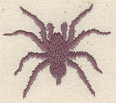 Embroidery Design: Spider 2.21w X 1.96h