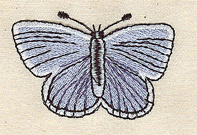 Embroidery Design: Blue Butterfly 2.23w X 1.48h