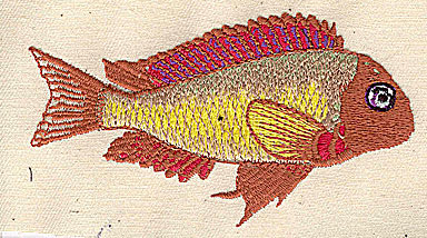 Embroidery Design: Fish  3.93w X 2.28h