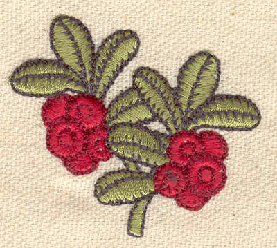 Embroidery Design: Flowers and leaves 2.02w X 1.79h