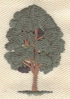 Embroidery Design: Tree 1.09w X 1.60h
