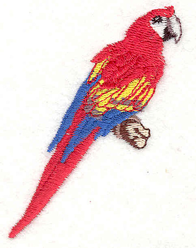 Embroidery Design: Macaw 2.83w X 2.11h