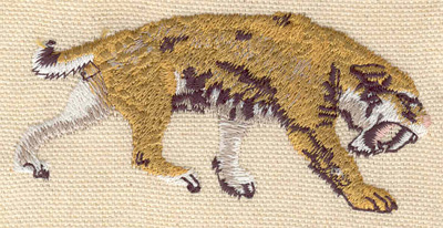 Embroidery Design: Sabre Tooth tiger 3.43w X 1.58h