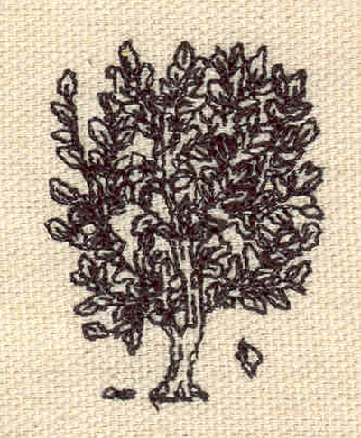 Embroidery Design: Tree G  1.68"h x 1.28"w