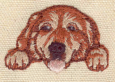 Embroidery Design: Labrador puppy 1.82w X 1.23h