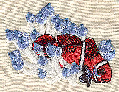Embroidery Design: Clown fish 1.87w X 2.44h