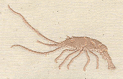 Embroidery Design: Shrimp 2.60w X 1.70h