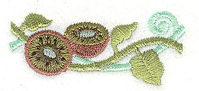 Embroidery Design: Kiwi 2.36w X 1.03h