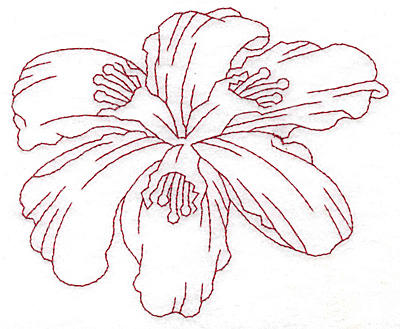 Embroidery Design: Lily bloom large Redwork  4.16"h x 5.01"w