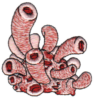 Embroidery Design: Sea Anemone (Coral)2.32" x 2.40"
