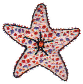 Embroidery Design: Starfish1.80" x 1.71"