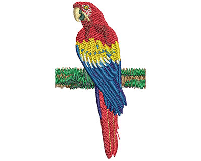 Embroidery Design: Tri Color Macaw Lg 2.00w X 3.54h