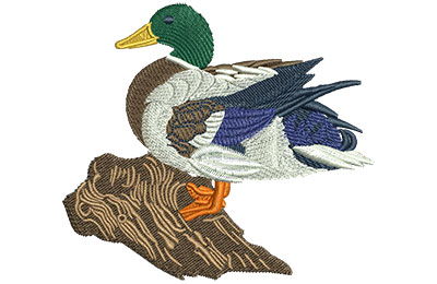Embroidery Design: Mallard Green Head Lg 4.03w X 3.57h