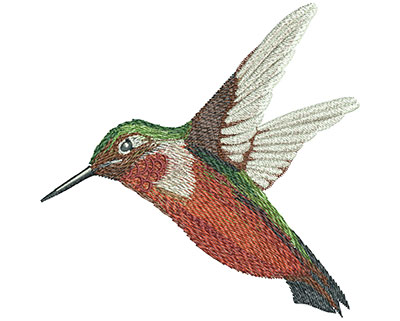 Embroidery Design: Humming Bird Cruise Lg 4.43w X 4.37h