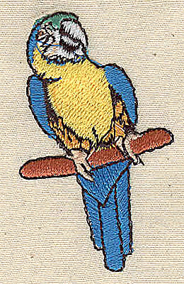 Embroidery Design: Parrot 1.31w X 2.25h