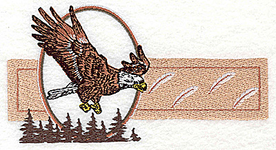 Embroidery Design: Eagle in flight 5.94w X 3.13h