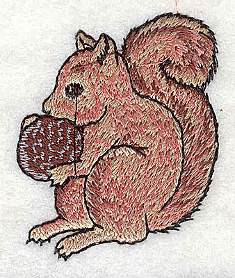 Embroidery Design: Squirell 1.56w X 1.94h