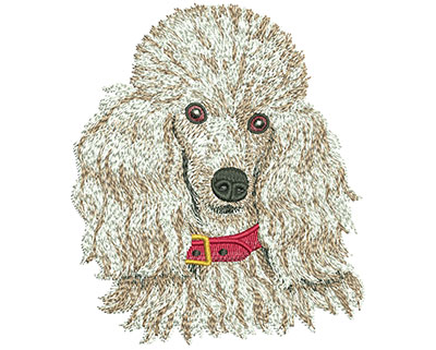 Embroidery Design: Toy Poodle Lg 3.81w X 4.44h