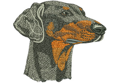 Embroidery Design: Doberman Lg 4.99w X 4.45h