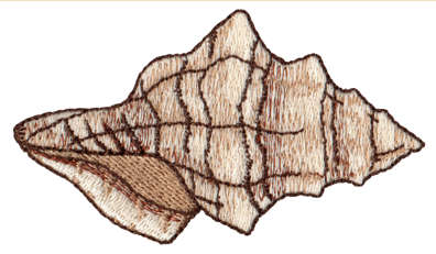 Embroidery Design: Seashell 82.57" x 2.10"