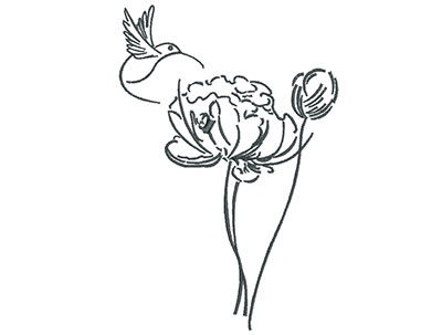 Embroidery Design: Hummingbird And Wild Flower Outline 4.79w X 7.12h