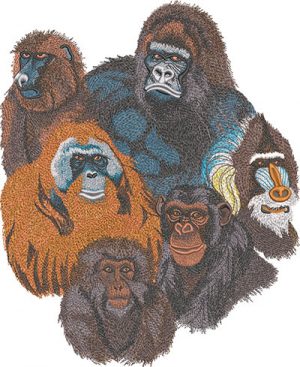 Ape Group L