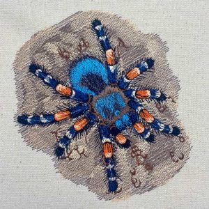 tarantula embroidery design