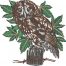 barred owl embroidery design