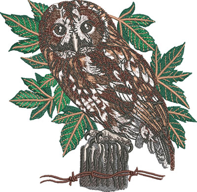 barred owl embroidery design