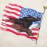 American Eagle with Flag embroidery design