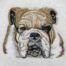 Bulldog face embroidery design