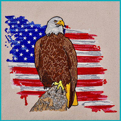 patriotic category icon image